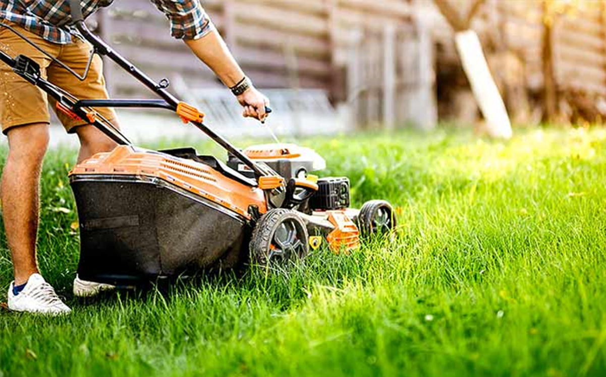 TOP 10 Mower Fixes